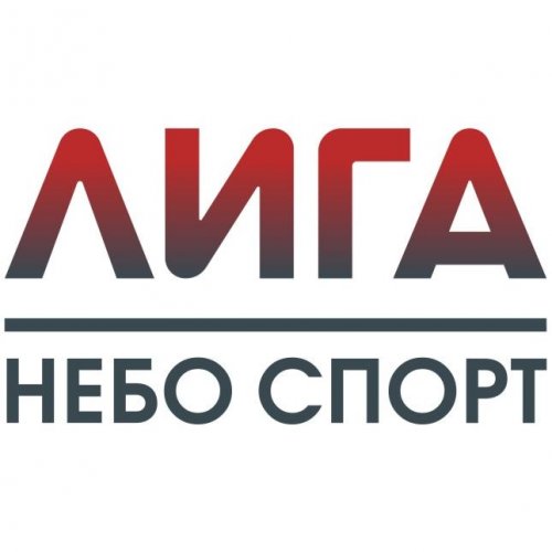 Логотип организации ЛИГА НЕБО СПОРТ по воздушной гимнастике и пилонному спорту